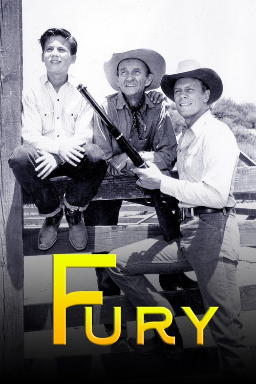Movie poster for Fury (1955)