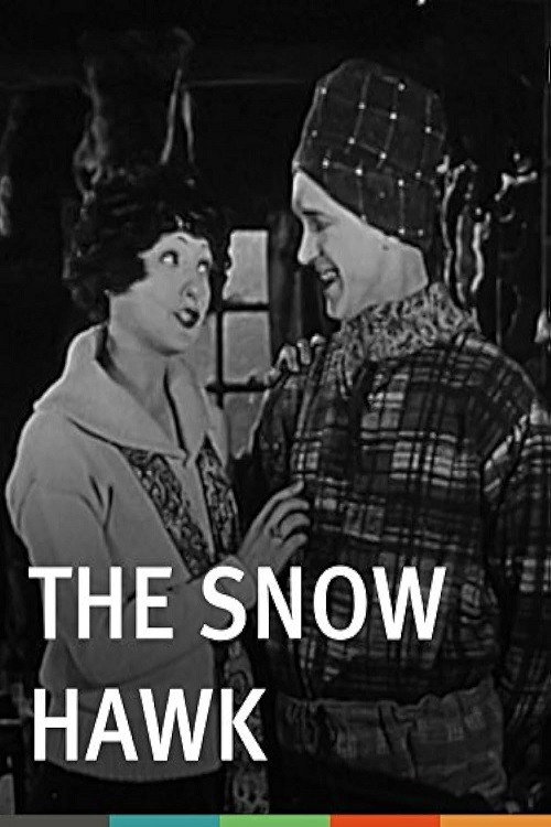 Movie poster for The Snow Hawk (1925)