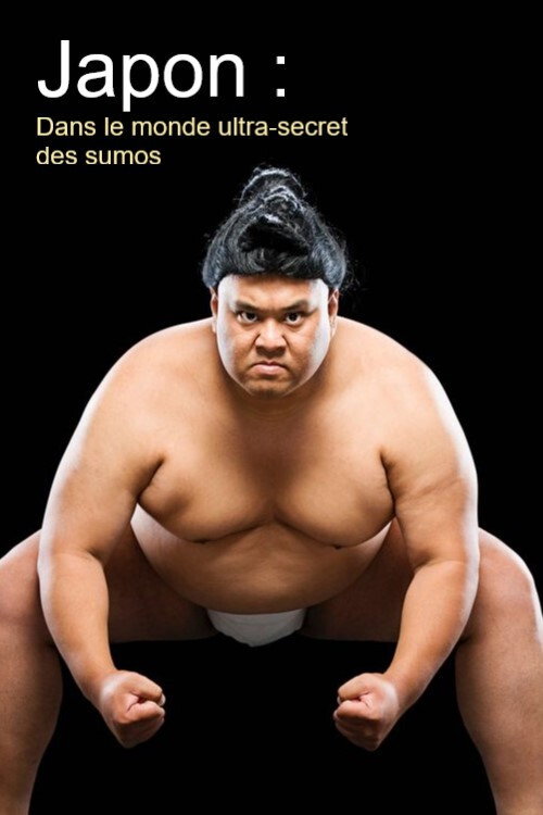 Movie poster for Japon : Dans le monde ultra-secret des sumos (2020)
