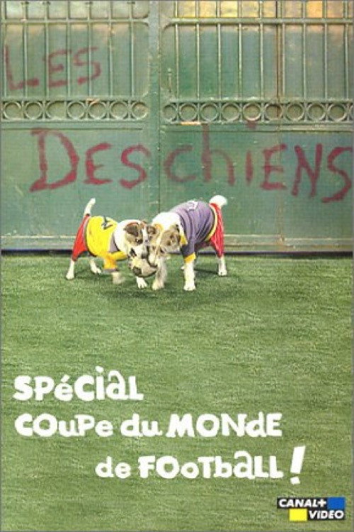 Movie poster for Les Deschiens - Spécial Coupe du Monde de football (2002)