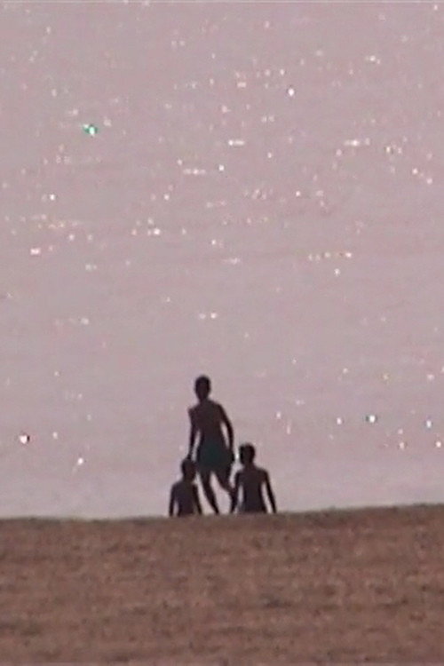 Movie poster for L'Île éphémère (2005)