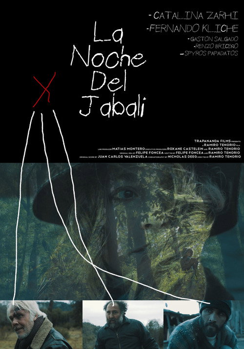 Movie poster for The Night Of The Wild Boar (2016)