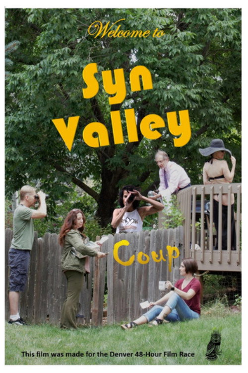 Movie poster for Syn Valley Coup (2024)