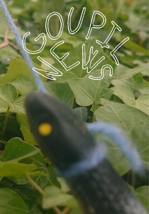 Movie poster for Goupil News (2025)