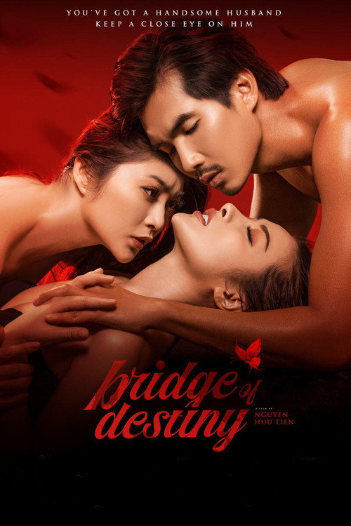 Movie poster for Bridge of Destiny (2020)