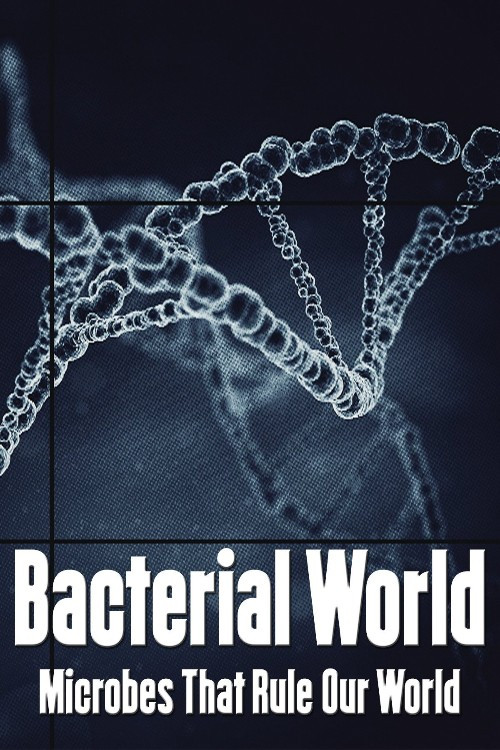 Movie poster for Bacterial World (2016)