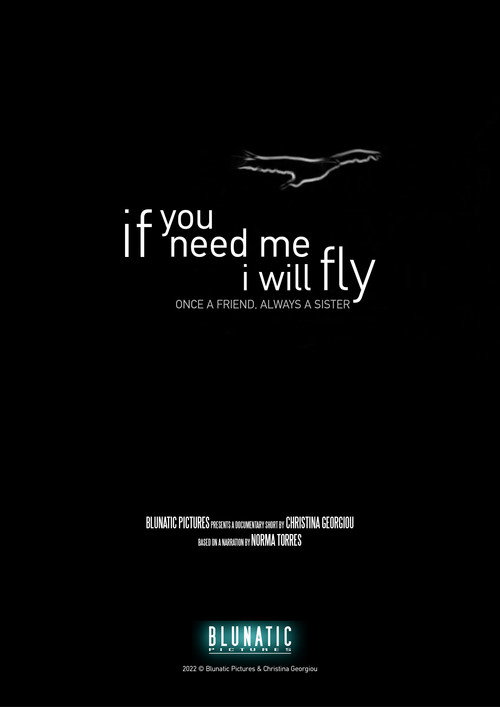 Movie poster for If You Need Me, I Will Fly (2023)