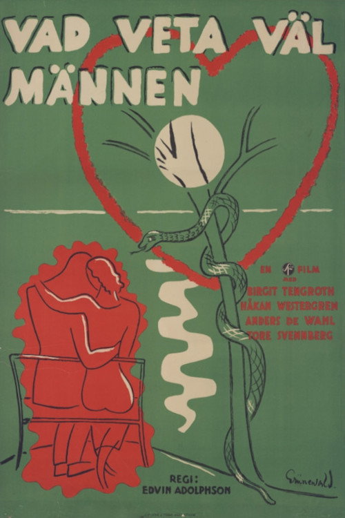 Movie poster for Vad veta väl männen? (1933)