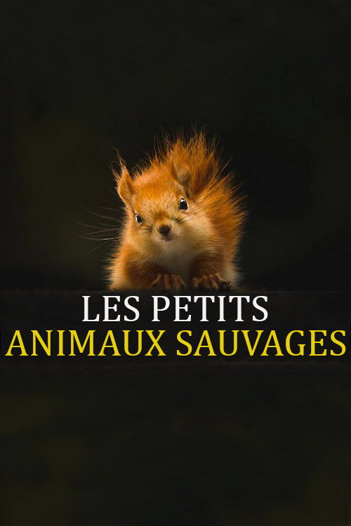 Series poster for Les Petits Animaux Sauvages (1999)