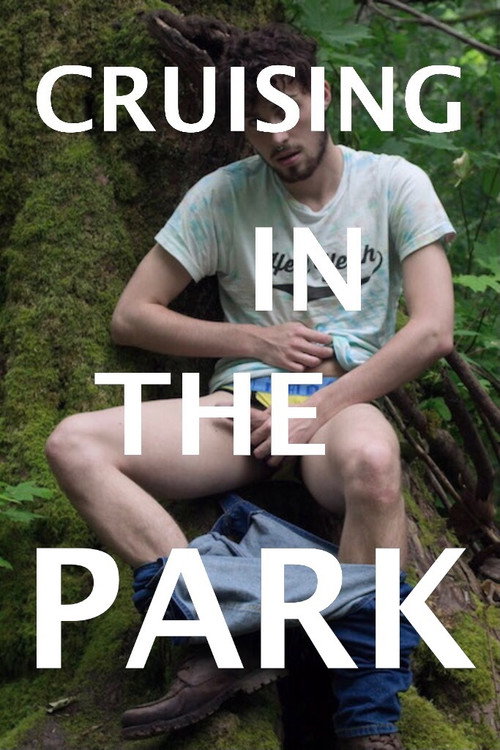 Movie poster for Cruising in the Park (2018)