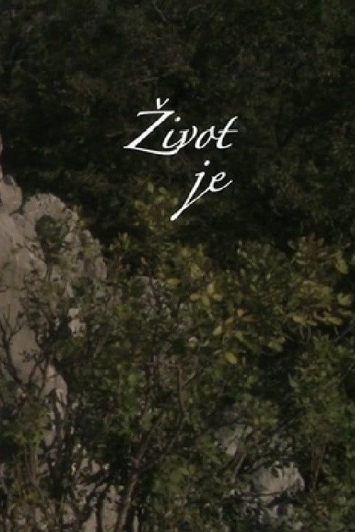 Movie poster for Life Is (2012)