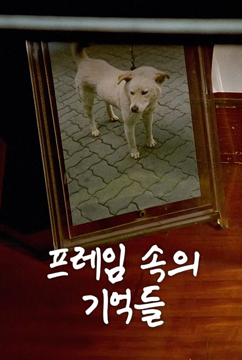 Movie poster for The Memories in My Frame (1994)