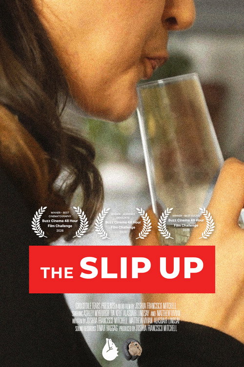 Movie poster for The Slip Up