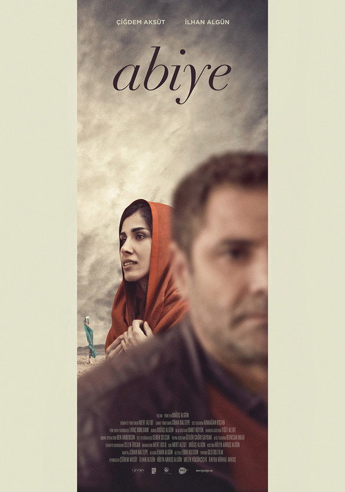 Movie poster for The Embroidered Dress (2016)