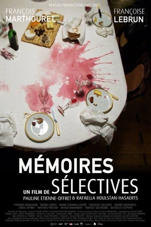 Movie poster for Mémoires Sélectives (2015)