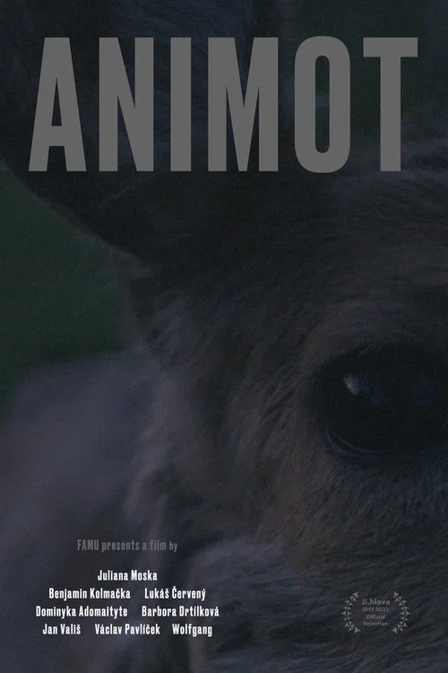 Movie poster for Animot (2022)