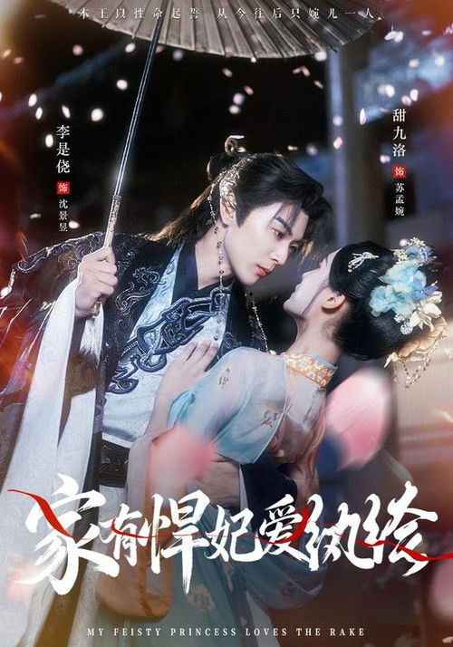 家有悍妃爱纨绔 poster