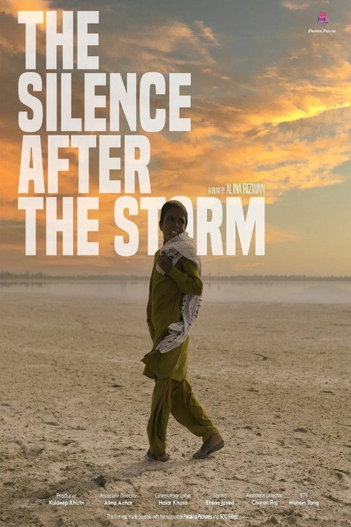 Movie poster for The Silence After The Storm (2024)