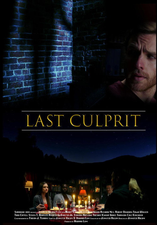 Movie poster for Last Culprit