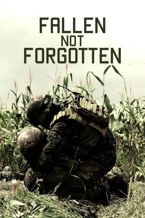 Movie poster for Fallen Not Forgotten (2017)