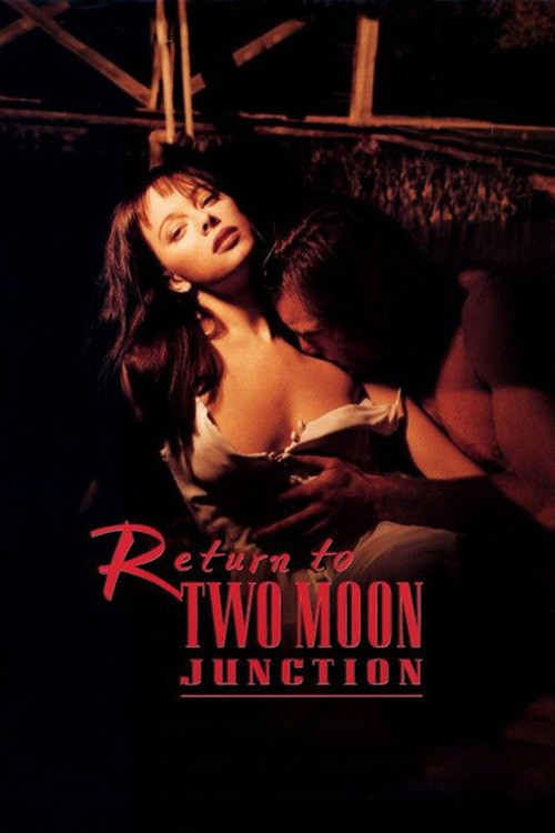 Movie poster for Return to Two Moon Junction (1994)