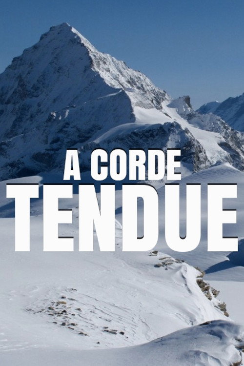 Movie poster for À corde tendue (2013)