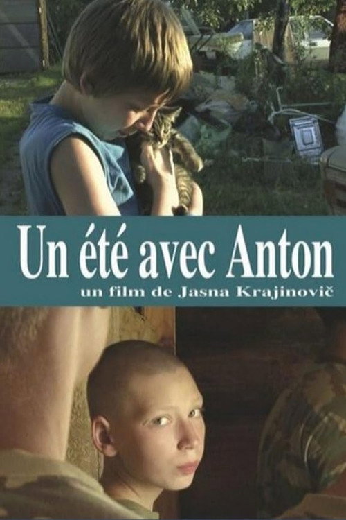 Movie poster for Summer with Anton (2012)