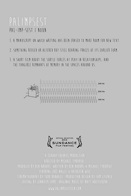 Movie poster for Palimpsest (2013)