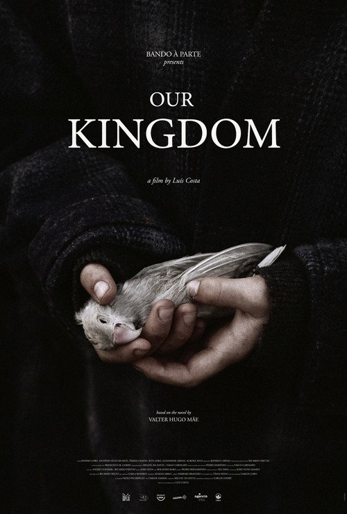 Movie poster for Our Kingdom (2020)