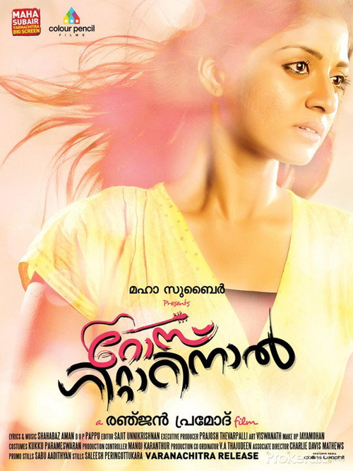 Movie poster for Rose Guitarinaal (2013)