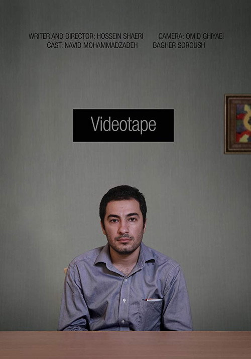 Movie poster for Videotape (2012)