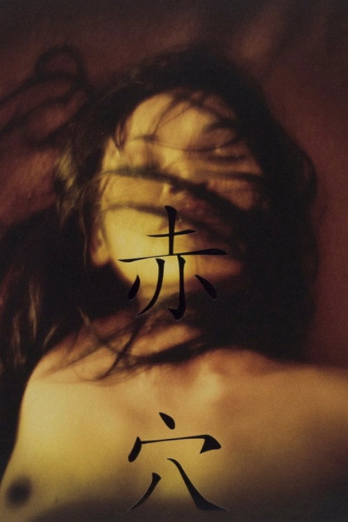 Movie poster for Aka Ana (2008)