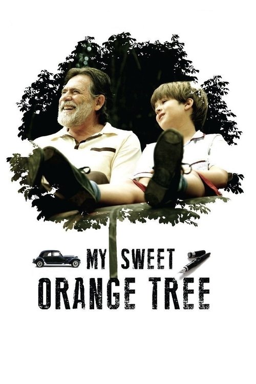 Movie poster for My Sweet Orange Tree (2012)