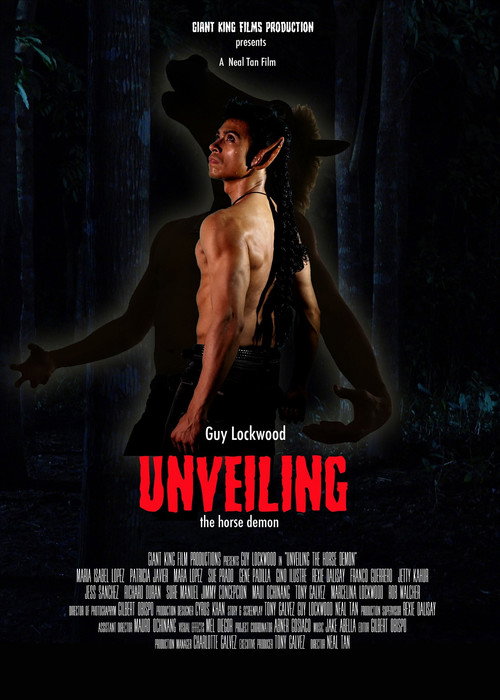 Movie poster for Unveiling The Horse Demon (2017)
