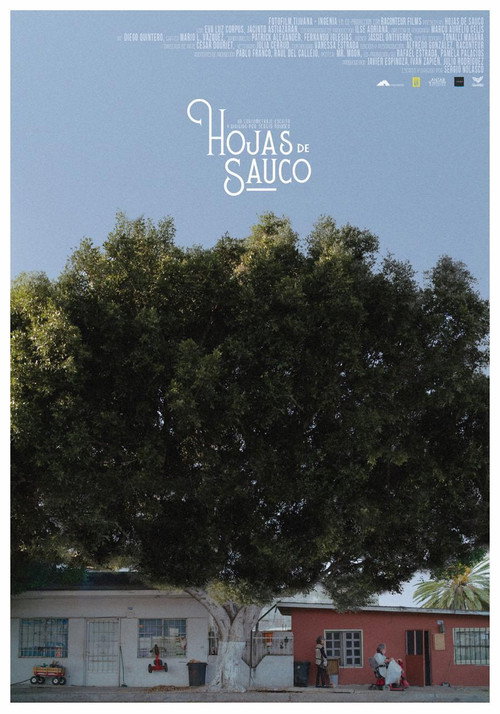 Movie poster for Hojas de Sauco (2021)