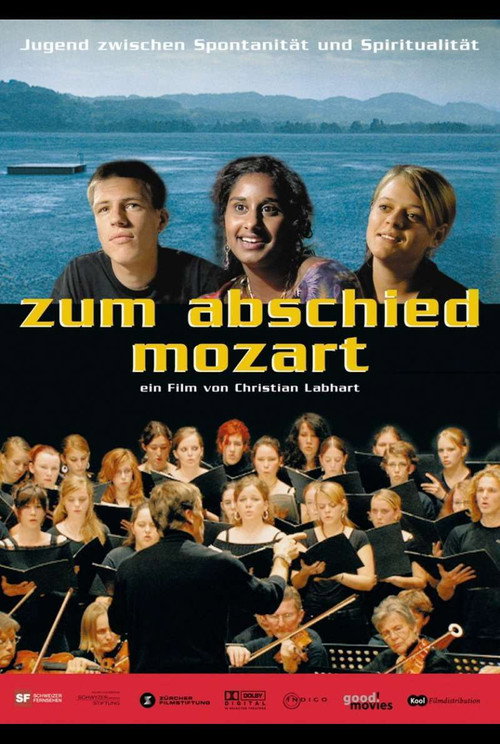 Movie poster for Zum Abschied Mozart (2007)