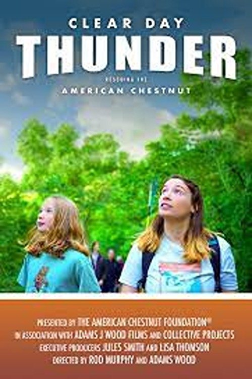 Movie poster for Clear Day Thunder: Rescuing the American Chestnut (2023)