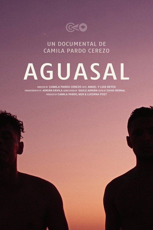 Movie poster for Aguasal (2025)