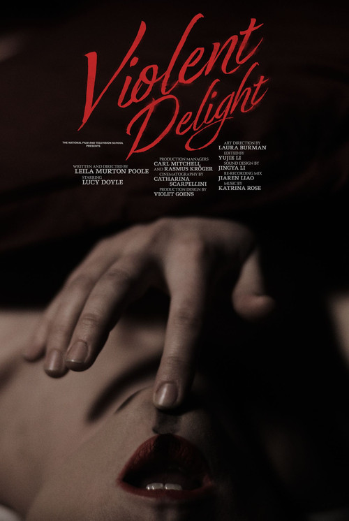 Movie poster for Violent Delight