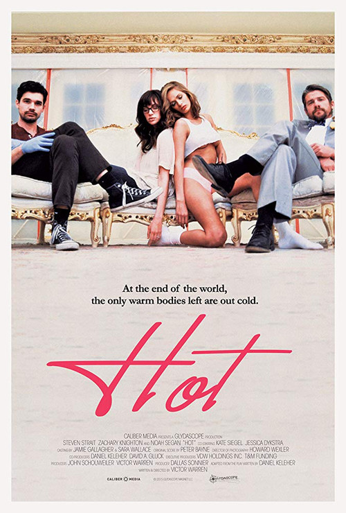 Movie poster for Hot (2016)