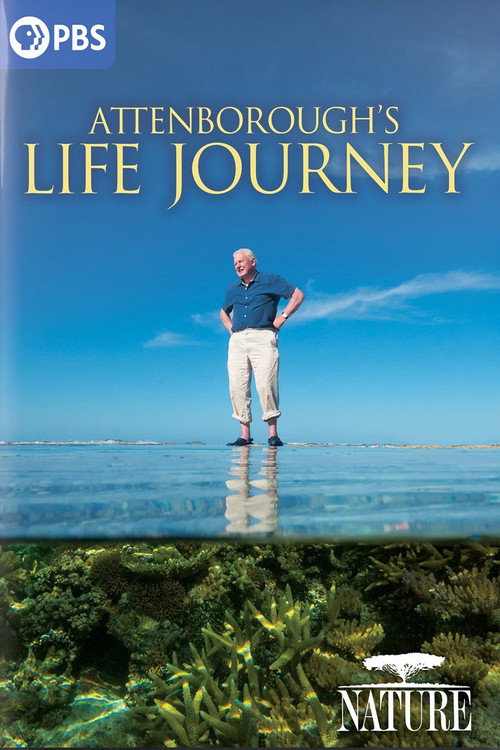 Movie poster for Attenborough's Life Journey (2024)
