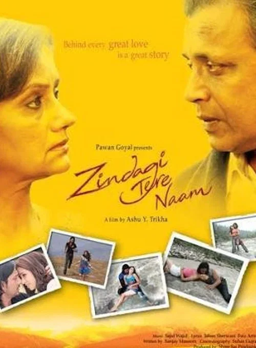 Movie poster for Zindagi Tere Naam (2012)