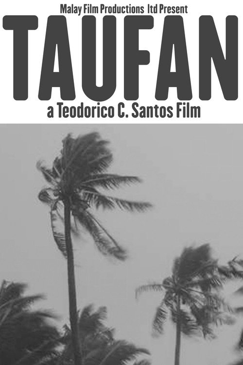 Movie poster for Taufan (1958)