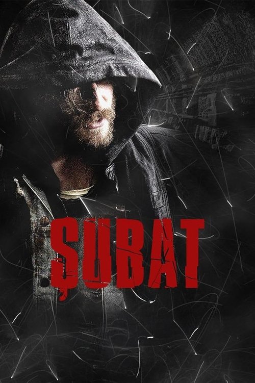 Şubat poster