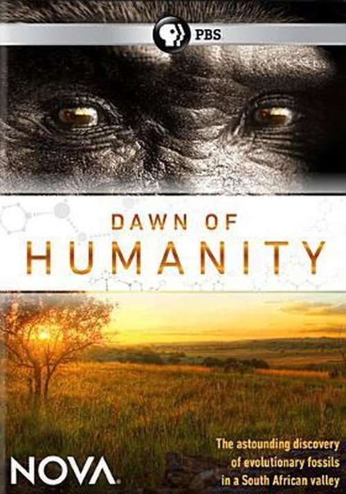 Movie poster for Dawn of Humanity (2015)