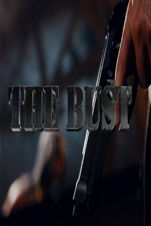 Movie poster for The Bust (2017)