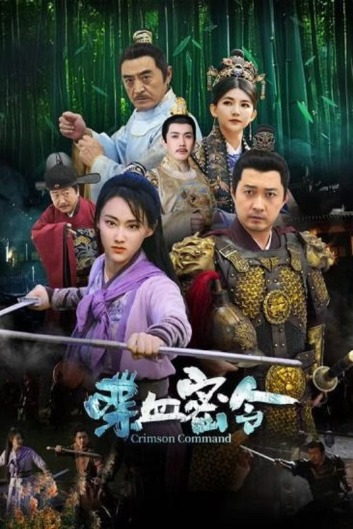 Movie poster for 喋血密令 (2024)