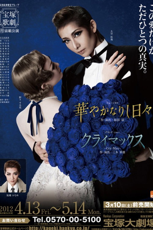 Movie poster for Brilliant Days (2012)