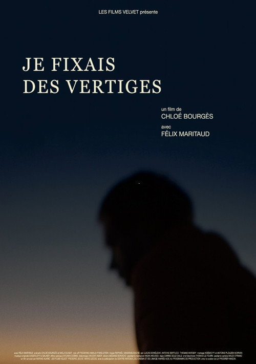 Movie poster for Je fixais des vertiges (2019)
