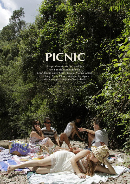 Movie poster for Picnic (2020)